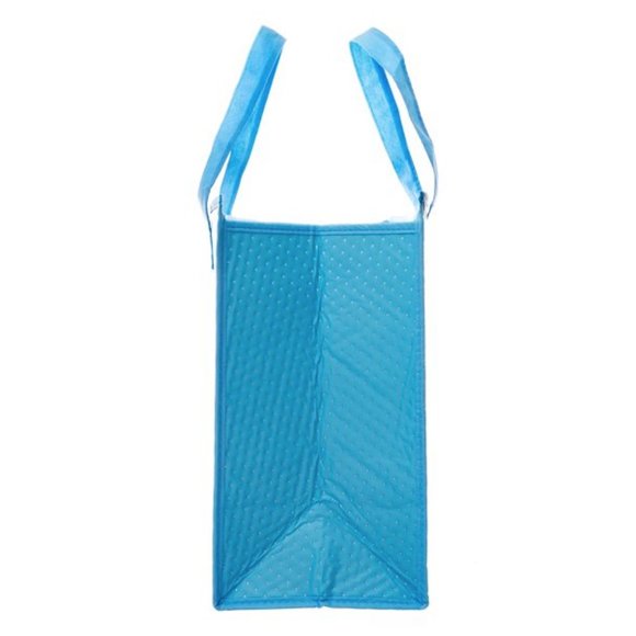 Reusable Insulated Grocery Bag with Zipper - Picture 4 of 5